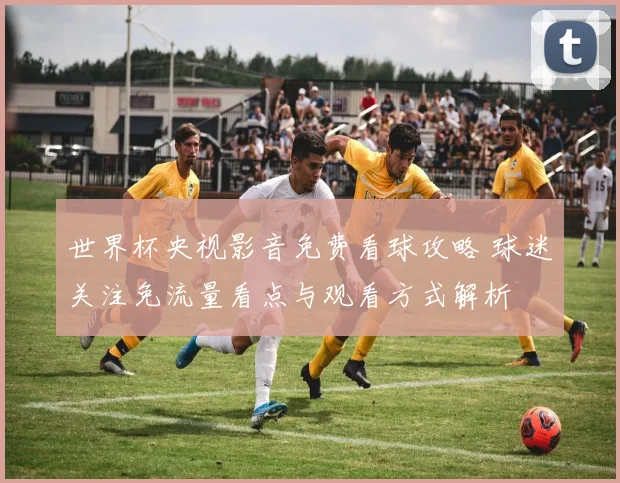 世界杯央视影音免费看球攻略 球迷关注免流量看点与观看方式解析
